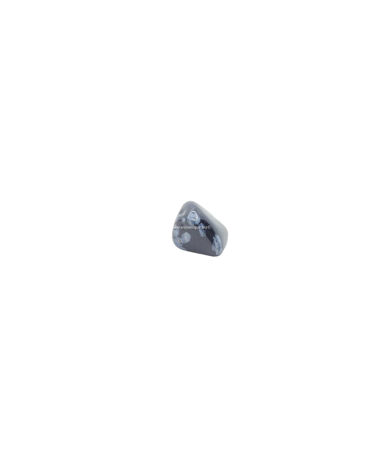 OBSIDIENNE MOUCHETEE -...