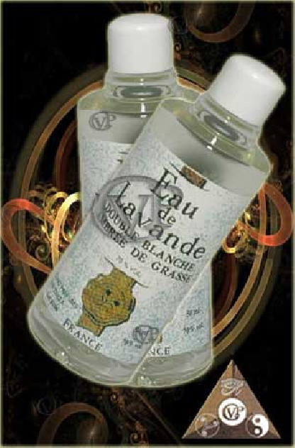 LAVANDE BLANCHE DOUBLE AMBREE  (LMH068)