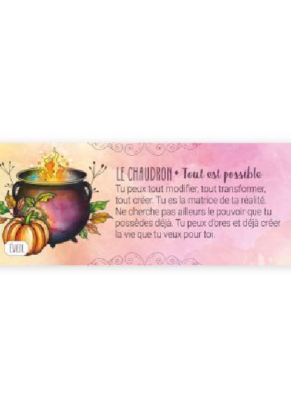 LE PETIT ORACLE MAGICK SOUL (13.90€ TTC)