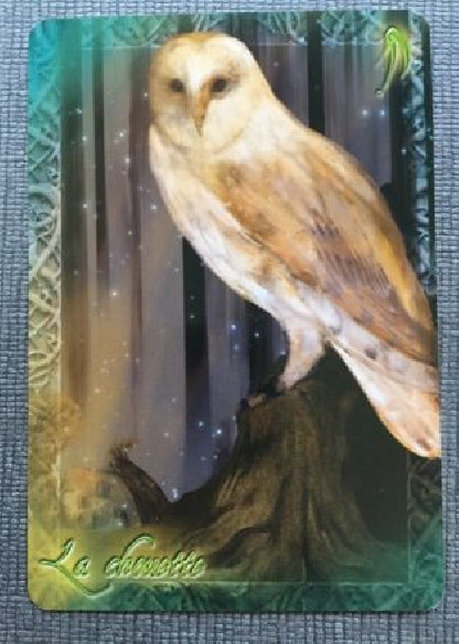 L'ORACLE DU PEUPLE ANIMAL