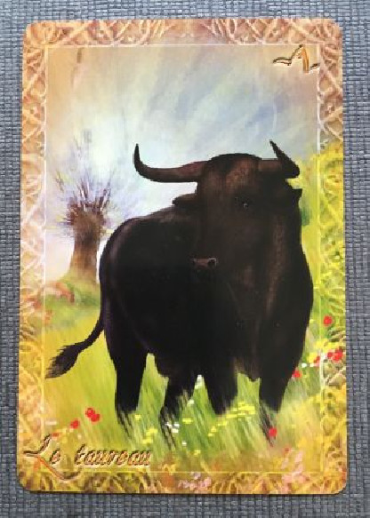 L'ORACLE DU PEUPLE ANIMAL