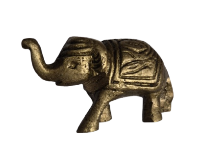 ELEPHANT BRULE ENCENS