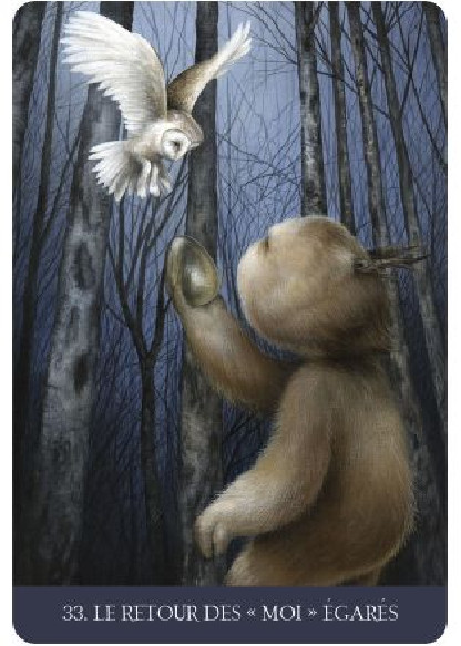 La forêt de la solitude