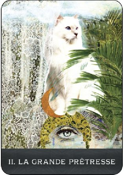 Le Tarot des chats mystérieux