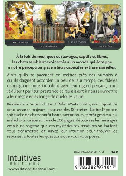 Le Tarot des chats mystérieux