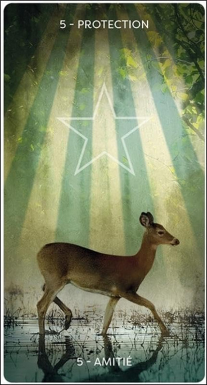 L'ORCALE D'HILDEGARDE