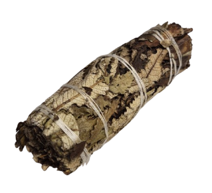 SAUGE NOIRE - Bâton