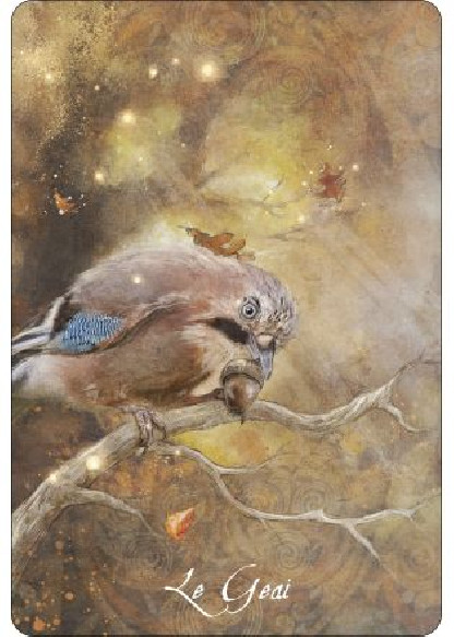 L'oracle des oiseaux messagers