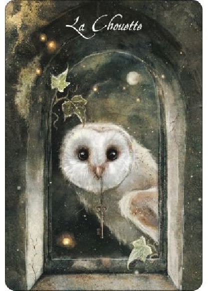 L'oracle des oiseaux messagers
