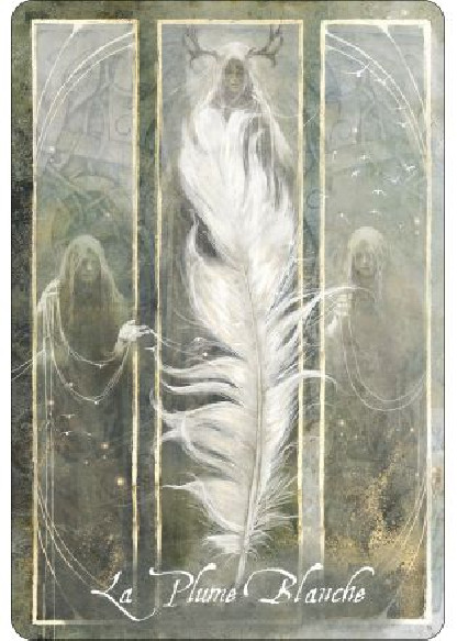L'oracle des oiseaux messagers