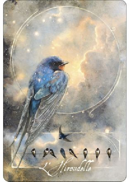 L'oracle des oiseaux messagers