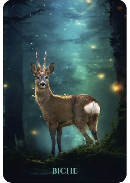 L'Oracle des animaux de lumière