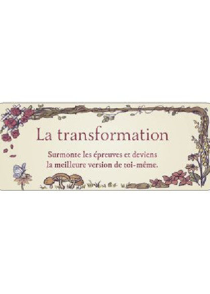 Le petit Oracle du Jardin Secret