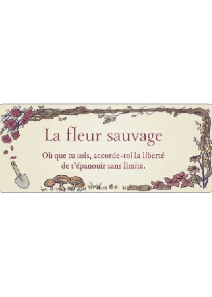 Le petit Oracle du Jardin Secret