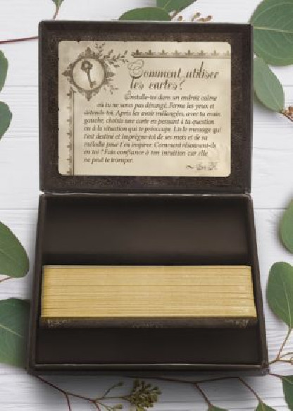 Le petit Oracle de la Création