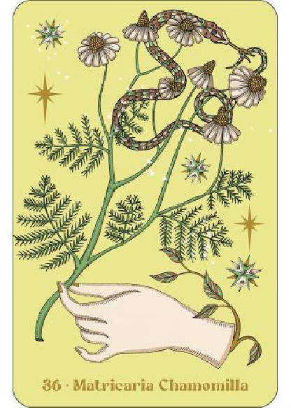 Herbarium