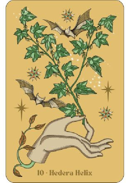 Herbarium