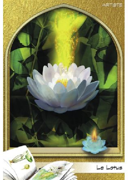 L'oracle du peuple végétal