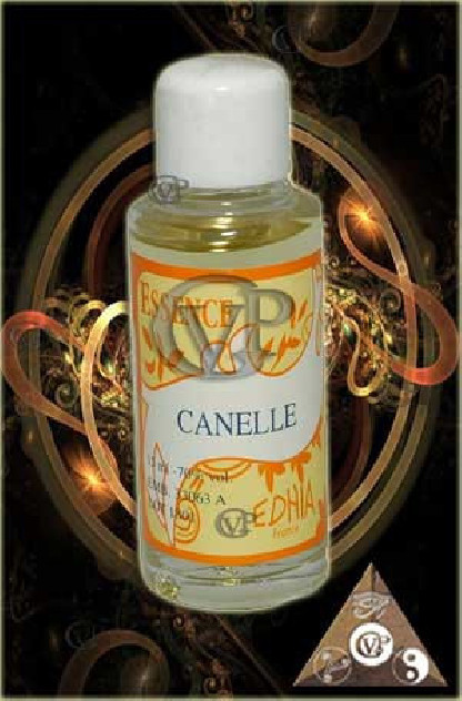 CANNELLE (LMH021)