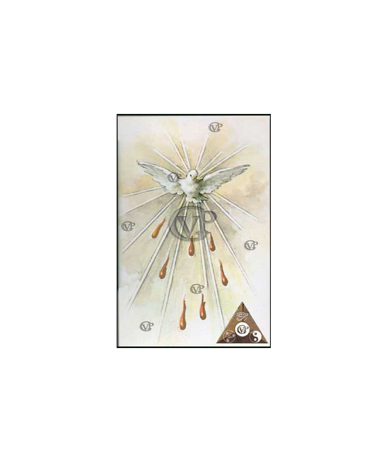 SAINT ESPRIT      (IMS007)