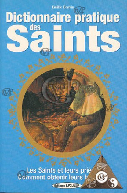 DICTIONNAIRE PRATIQUE DES SAINTS ( EXCL1124)