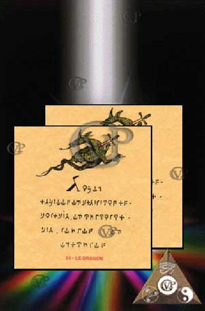 LE DRAGON(PAB034) Protège...