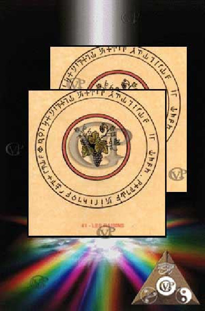 LES RAISINS(PAB041)S'ymbolise l'abondance