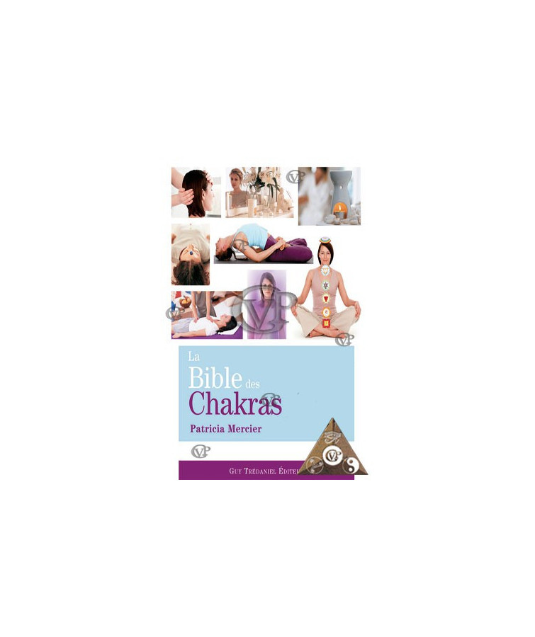 LA BIBLE DES CHAKRAS (TRED5874)