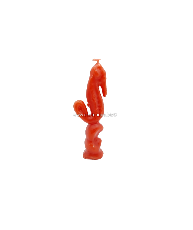 HIPPOCAMPE - Pour favoriser...