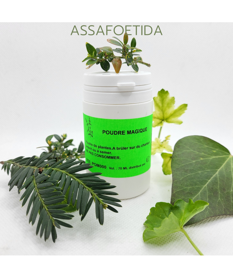 ASSA FOETIDA