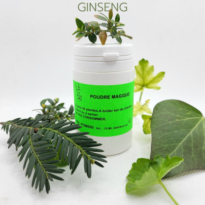 GINSENG - Poudre magique