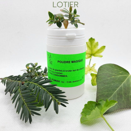 LOTIER - Poudre magique