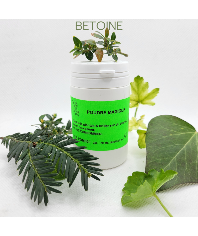 BÉTOINE - Poudre magique