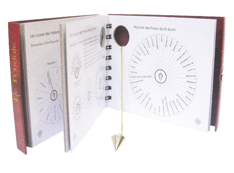 PENDULE KIT ET PLANCHE